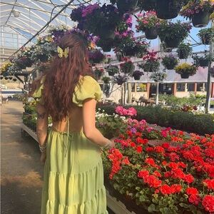 Princess Polly midi dress